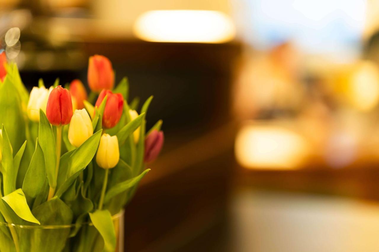 Logis Hotel Quartier 5, Saechsische Schweiz, Mit Restaurant, Cafe & Bar Курорт-Гориш Экстерьер фото