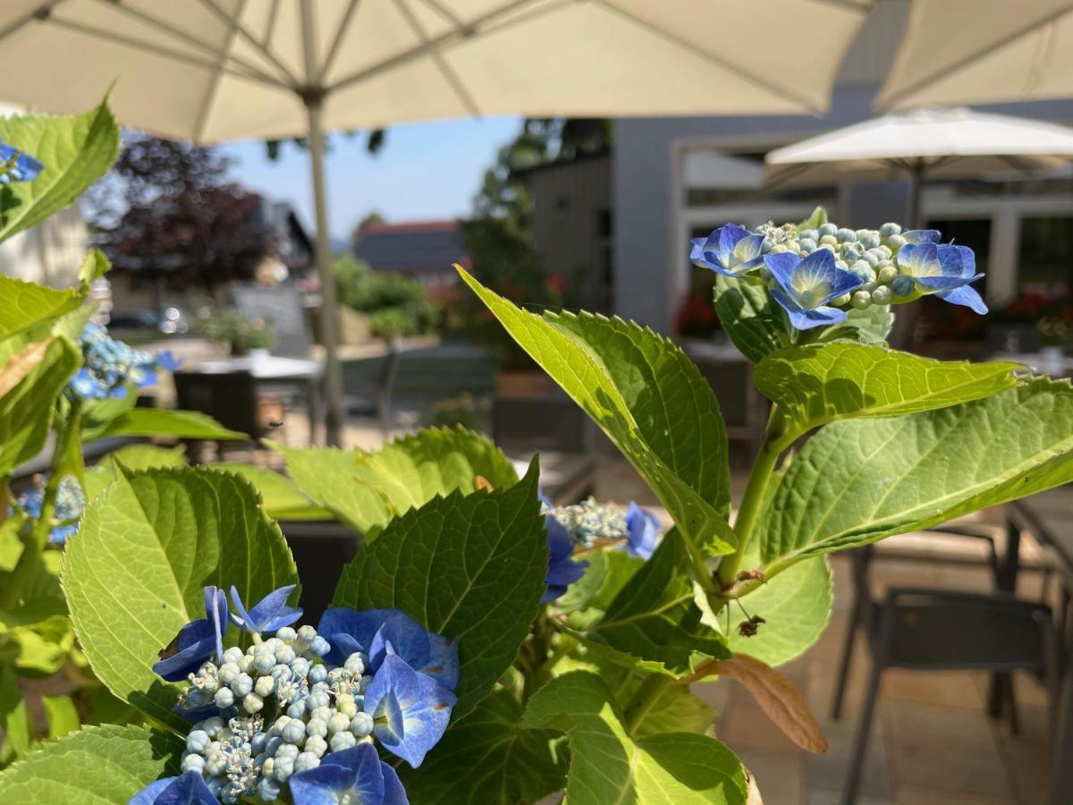 Logis Hotel Quartier 5, Saechsische Schweiz, Mit Restaurant, Cafe & Bar Курорт-Гориш Экстерьер фото